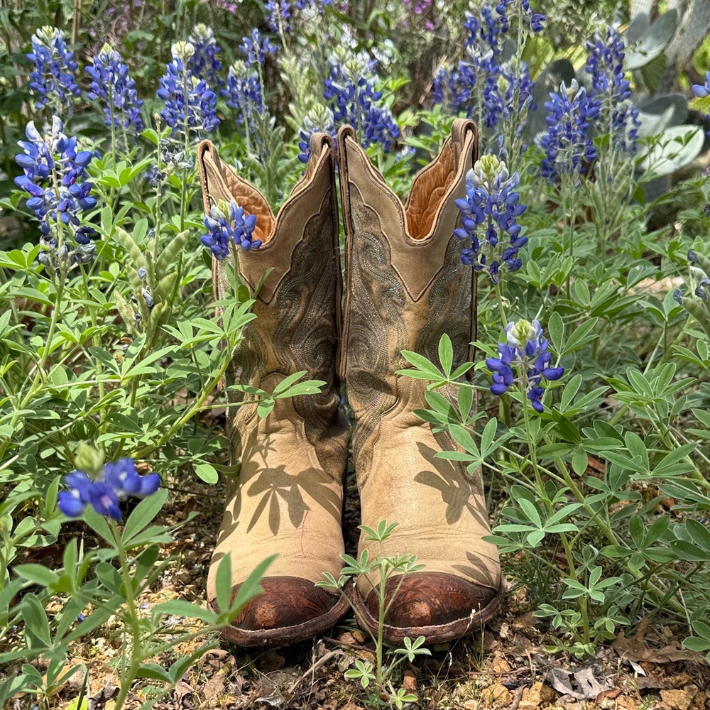 🐴🐴The Old Gringo tooled Cowgirl boots🐴🐴